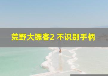 荒野大镖客2 不识别手柄